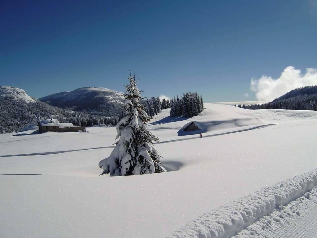 Caminetto Mountain Resort Lavarone Buitenkant foto